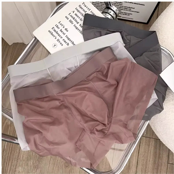 BOXERS TRANSPARENTS™ – MAILLE ULTRA-LÉGÈRE ( Taille standard : XL )